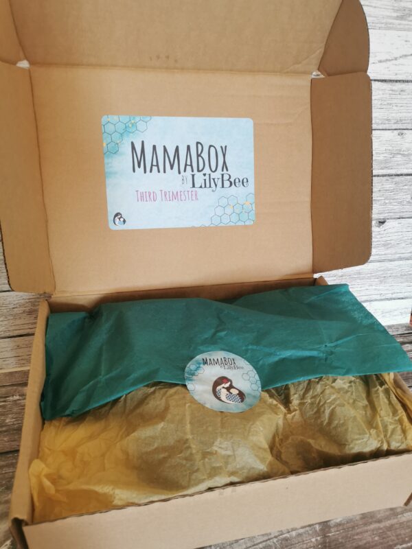 IMG_20220722_153828 IMG_20220722_153828