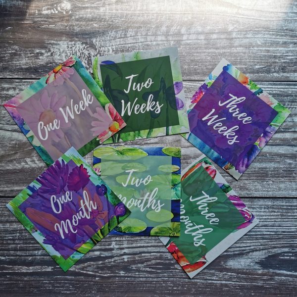 IMG_20230606_150709 IMG_20230606_150709